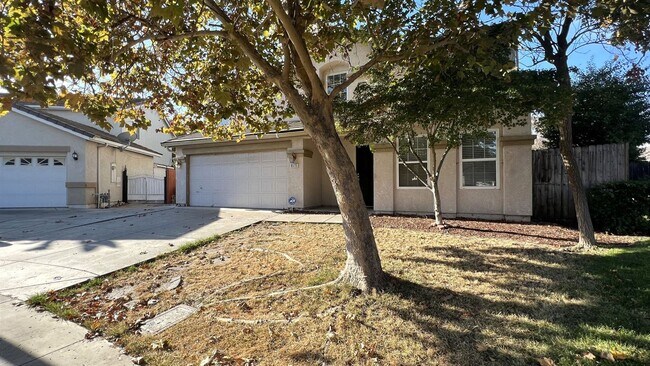 Building Photo - 4 br, 2.5 bath House - 8515 Rice Ct