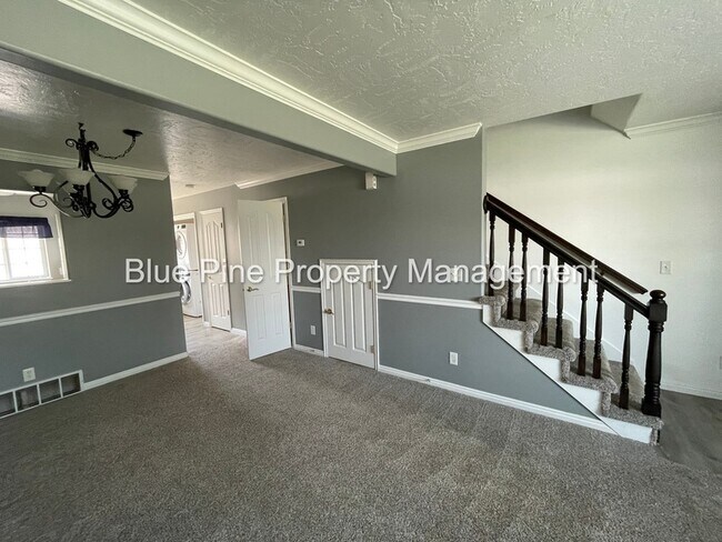 Foto del edificio - 217 Georgetown Dr