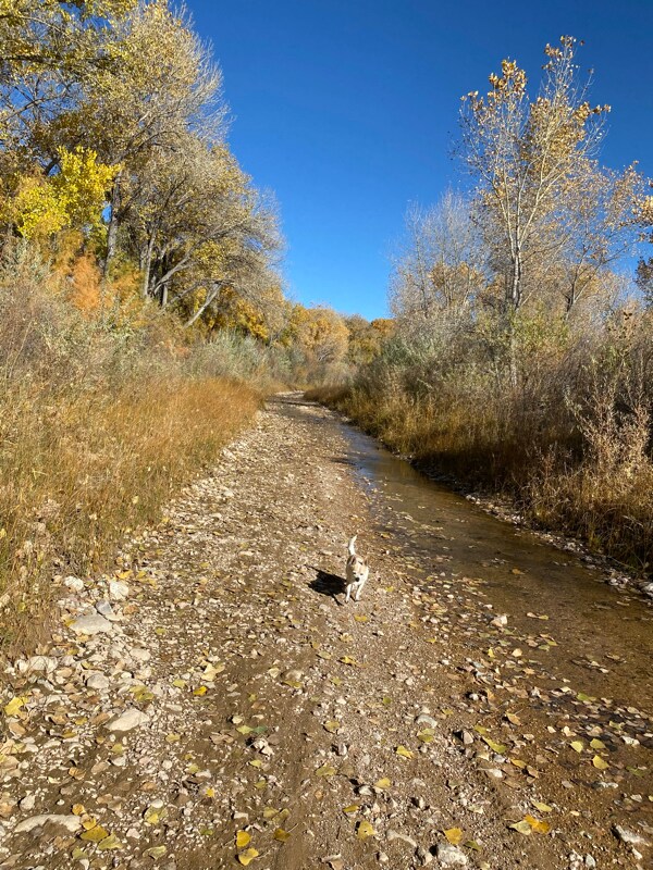 Foto del edificio - 28 NM-503