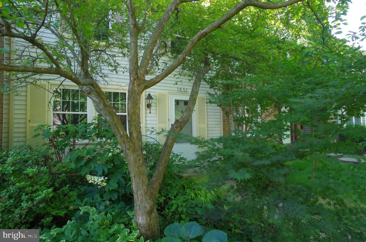 Primary Photo - 1651 Sierra Woods Dr