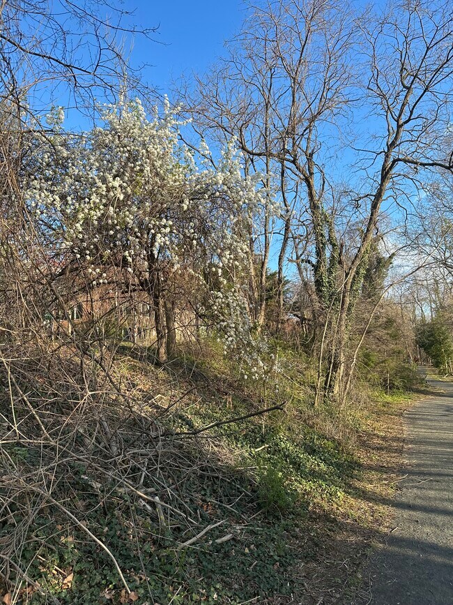 Sendero para caminar - 1718 W Abingdon Dr