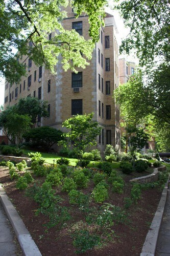 Ajardinado - 2032 Belmont Rd NW