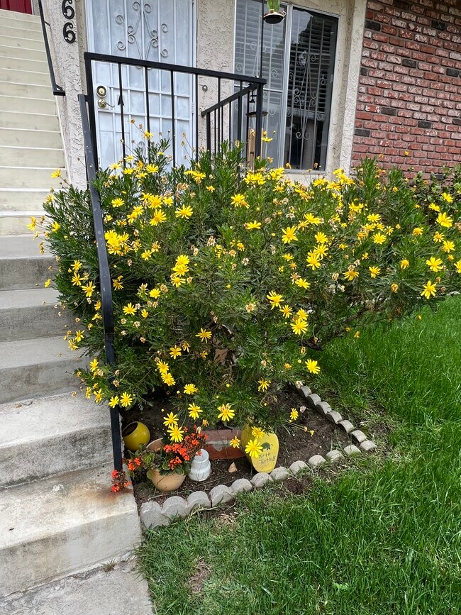 Flores del jardín delantero - 4166 Garden Ave