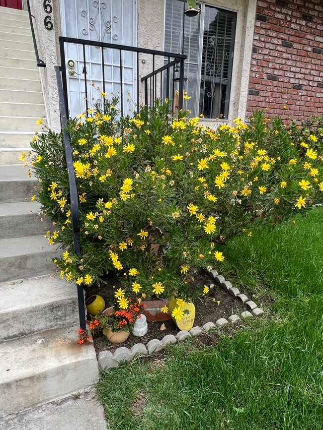 Front yard flowers - 4166 Garden Ave