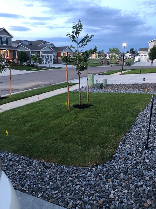 Front yard - 1033 Urial Dr