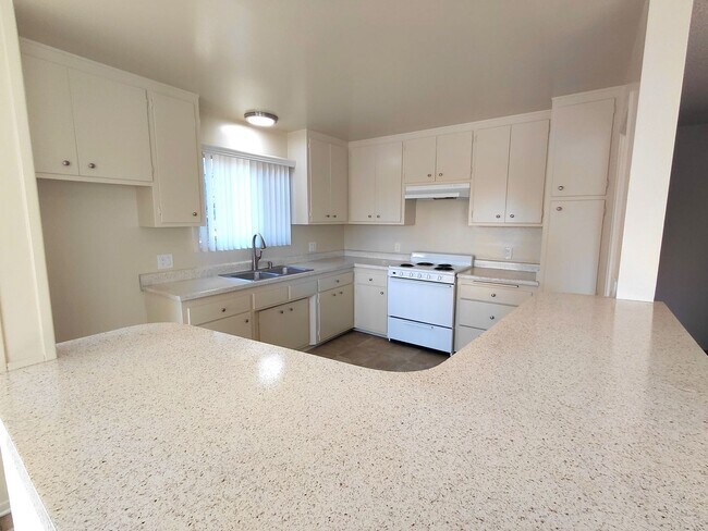 Foto del edificio - Memorial Apartments- Spacious  Clean 2 Bed...