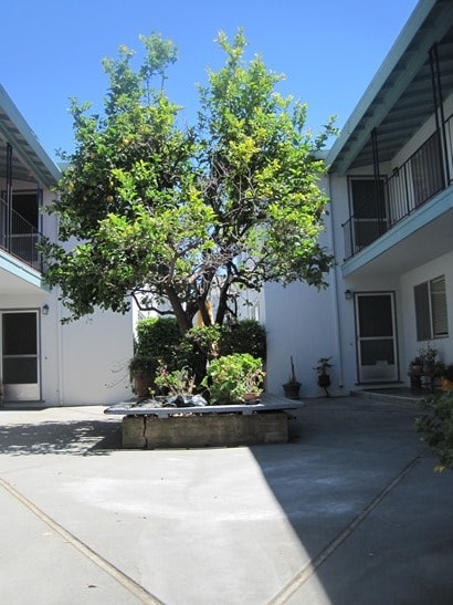 Building Photo - Spacious 1bd/1ba Near Downtown!