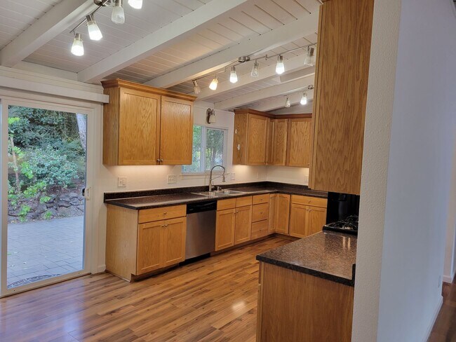 Building Photo - Single Story Buena Vista Home