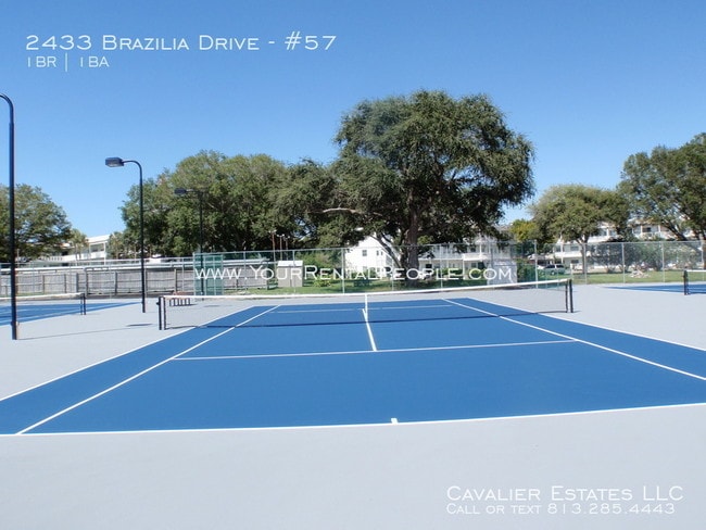 Building Photo - 2433 Brazilia Dr