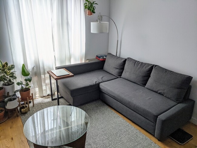 South-facing floor-to-ceiling windows letting in plenty of natural light throughout the day - 388 Fulton St