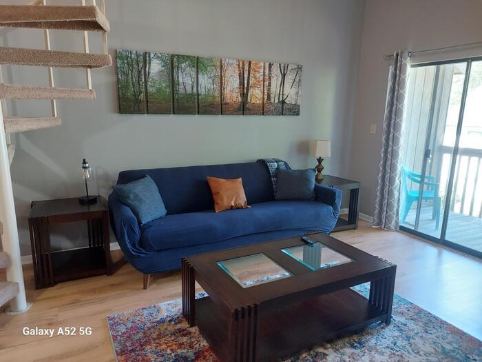 Primary Photo - Furnished 1 bedroom Condo