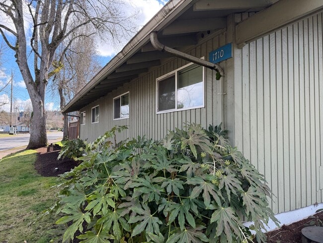 Building Photo - Updated 2 bedroom 1 bath duplex in Eugene!