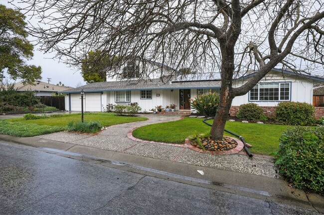 Building Photo - Absolutely Beautiful 4BR 3.5BA 2 Story Home in quiet neighborhood in Los Altos