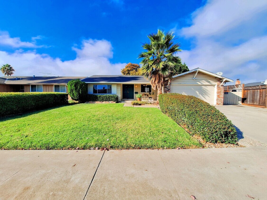 Spacious 3 Bedroom House Available Now - Spacious 3 Bedroom House Available Now