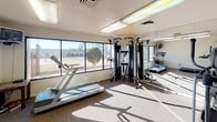This fitness center offers a practical and fully equipped workout environment designed to support a range of exercise routines. The space is laid out across a single floor and makes efficient use of its footprint, accommodating multiple workout zones within a compact area.

The cardio section features two treadmills and multiple elliptical machines, providing ample options for aerobic training. A wall-mounted television is positioned nearby for entertainment during workouts. Complementing the cardio equipment is a multi-station cable machine, which supports a wide variety of strength and resistance training exercises.

Large windows line the walls, allowing generous amounts of natural light to fill the room and offering views of the surrounding outdoor area, including landscaped greenery and the exterior grounds. The bright, airy atmosphere created by this natural light makes the space feel open and welcoming. A glass-paneled door provides direct access to the exterior.

Full-length mirrors are mounted along one wall, visually expanding the room while also serving as a functional aid for monitoring form during exercise. The flooring throughout is covered in durable carpet, providing cushioning underfoot. Overhead fluorescent lighting ensures the space remains well-lit at all times. The clean, neutral-toned walls and straightforward layout give the facility a functional and no-frills character suited to focused fitness activity.