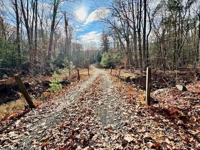 Foto del edificio - 567 Firetown Rd