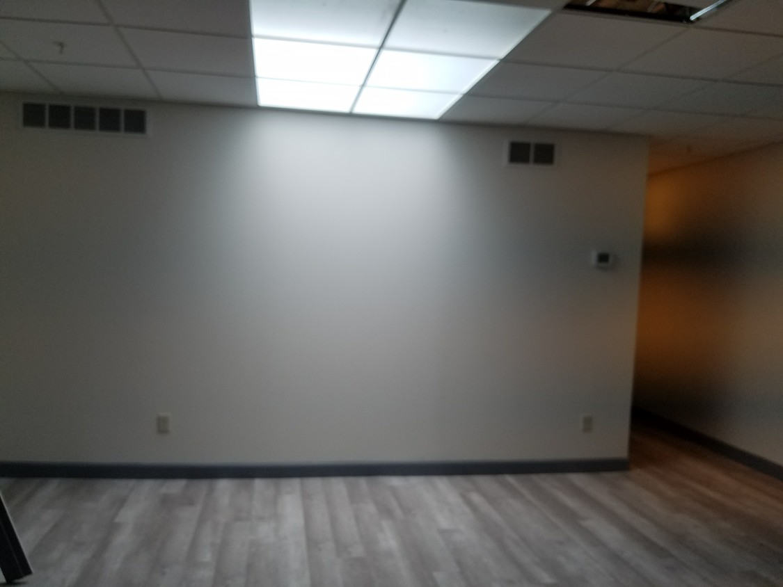 Living room with skylight - 115 W North St
