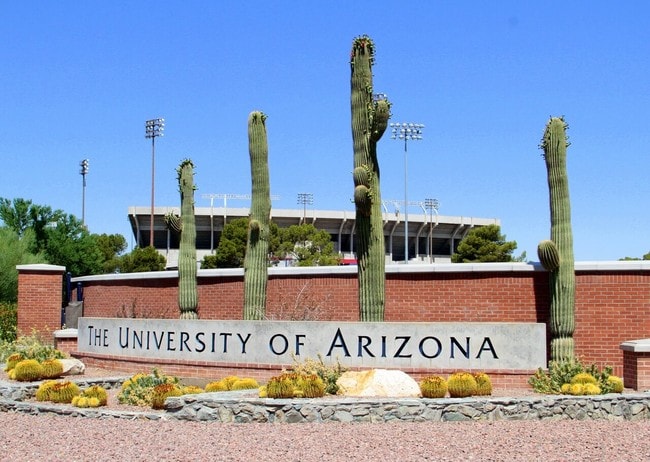 Cacti and the University of Arizona sign