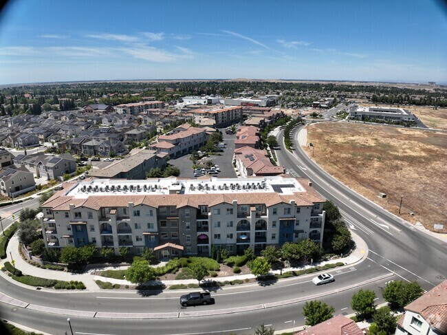 Exterior 3D - Campus Oaks Apartments