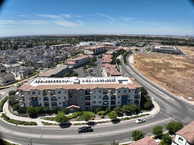 Exterior 3D - Campus Oaks Apartments