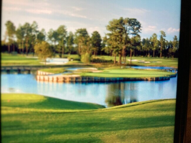 Building Photo - 4818 Innisbrook Ct