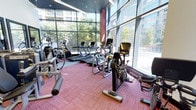 This fitness center is designed to provide an energizing and comfortable workout experience. The space is defined by an expansive wall of floor-to-ceiling windows that runs along one side, flooding the interior with abundant natural light and offering open views of the surrounding urban streetscape, including mature trees and neighboring buildings. The generous glazing creates a bright, airy atmosphere that enhances the overall workout environment.

The flooring throughout is a distinctive red-toned carpet tile, adding a dynamic visual element while providing practical underfoot comfort. The facility is well-stocked with a comprehensive selection of cardio equipment, including treadmills, elliptical cross-trainers, stationary upright and recumbent bikes, and stair climbers, all arranged to take full advantage of the window views. Each machine is positioned to allow users to exercise while overlooking the outdoor scenery, making workouts more engaging.

The ceiling incorporates recessed lighting to supplement the natural light during evening hours. The layout is thoughtfully organized to allow comfortable spacing between machines, ensuring ease of movement throughout the space. Overall, the fitness center delivers a modern, well-lit, and functional environment suited for a variety of cardio-focused training routines.