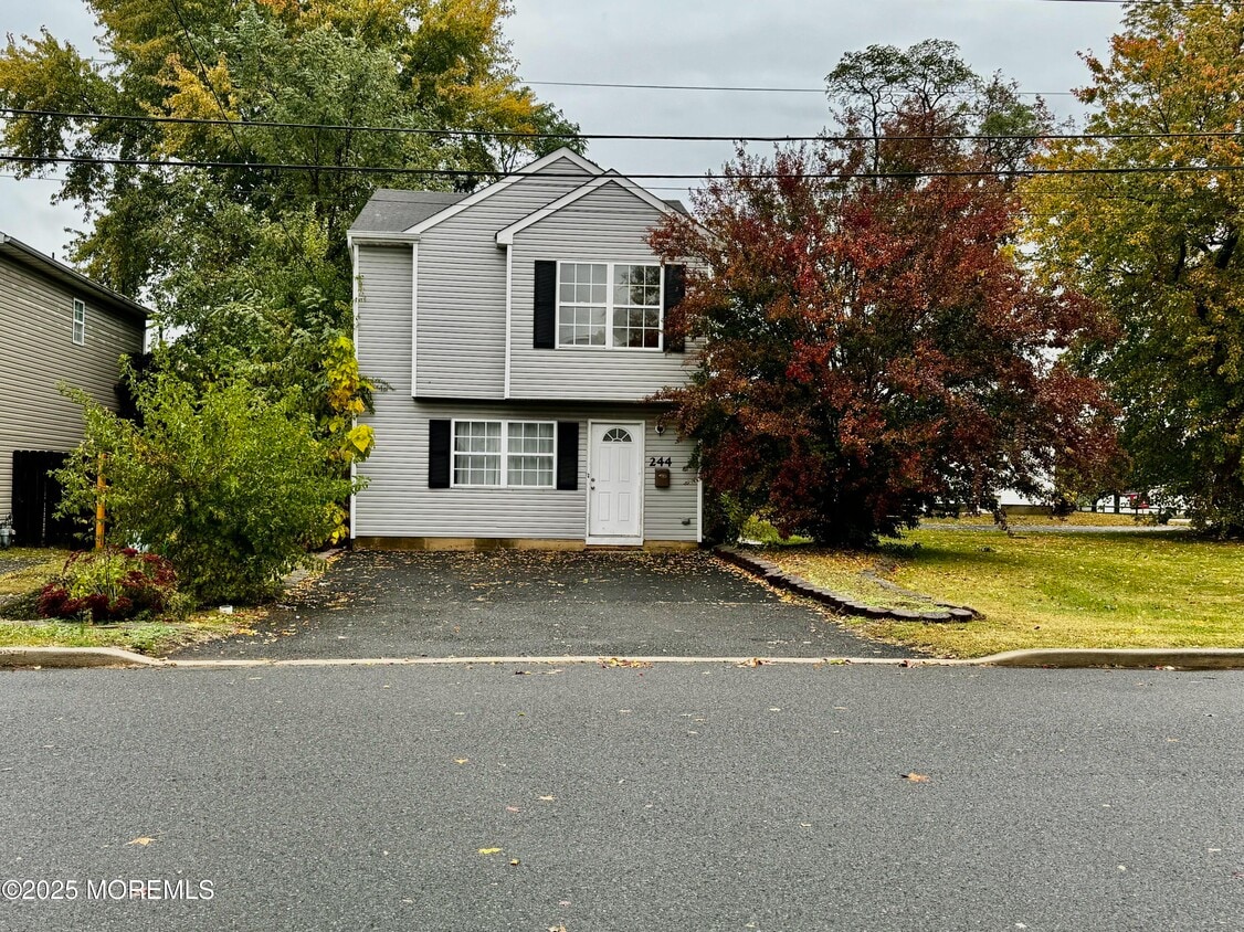Primary Photo - 244 Raritan St