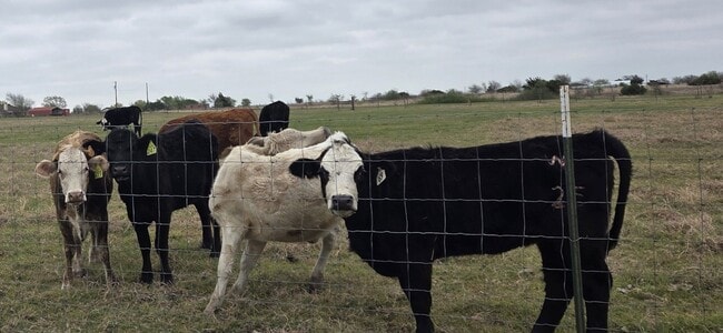 Foto del edificio - 2403 Bottoms East Rd