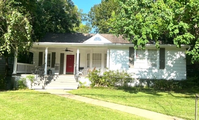 Move in Special: 1/2 off First Month's Rent - Located in the incredible Belhaven Historic District - Move in Special: 1/2 off First Month's Rent - Located in the incredible Belhaven Historic District House