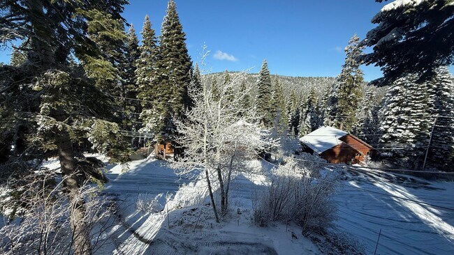 Foto del edificio - Charming Tahoe Donner Log Cabin with Hot Tub