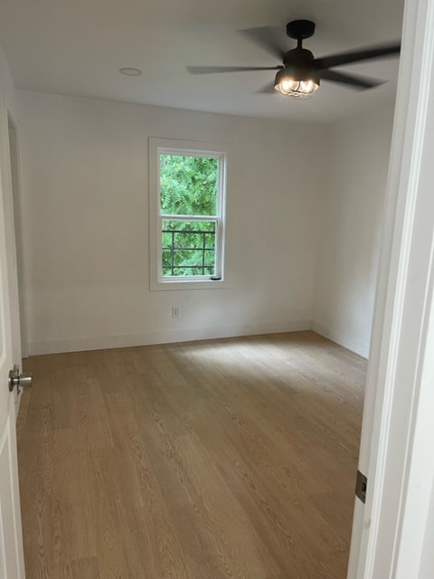 Building Photo - 557 Maple Ave