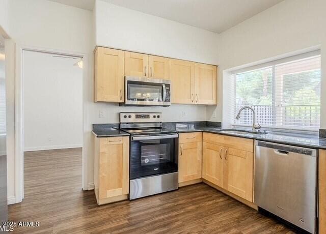 Foto del edificio - 4731 E White Aster St