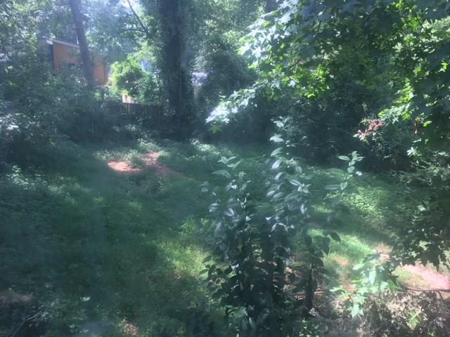 Backyard - 1727 Pennington Place