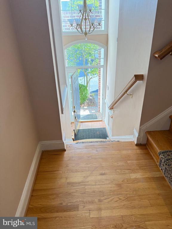 Foto principal - 1326 Lessard Ln