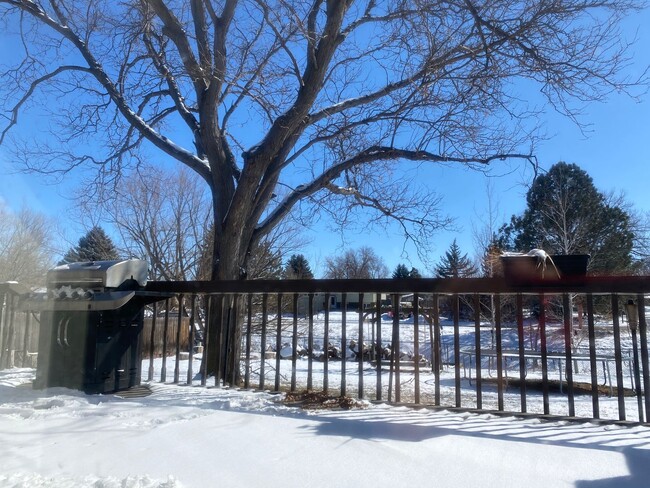Foto del edificio - Great corner lot home backing up to open s...