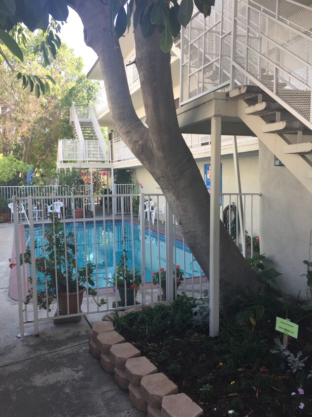 Backyard Pool - 5160 Denny Ave