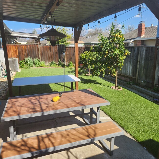 Backyard - 1482 Foxworthy Ave