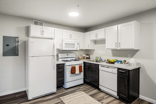 Building Photo - Stardust Apartments