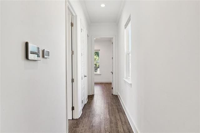 Building Photo - 4519 New Orleans St