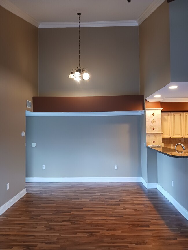Vautled Ceiling - 7864 Sonoma Springs Cir