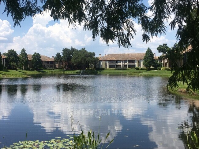 Foto del edificio - 10265 Gandy Blvd N