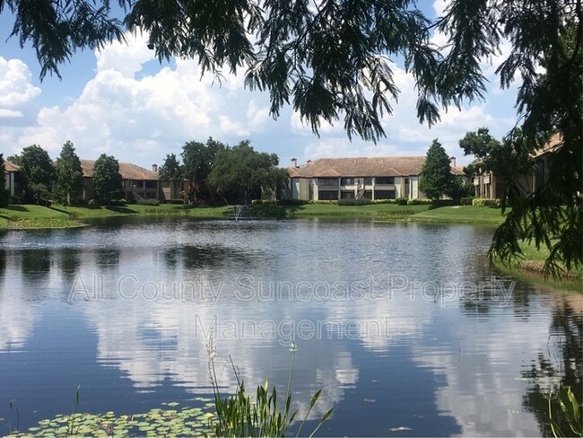 Building Photo - 10265 Gandy Blvd N