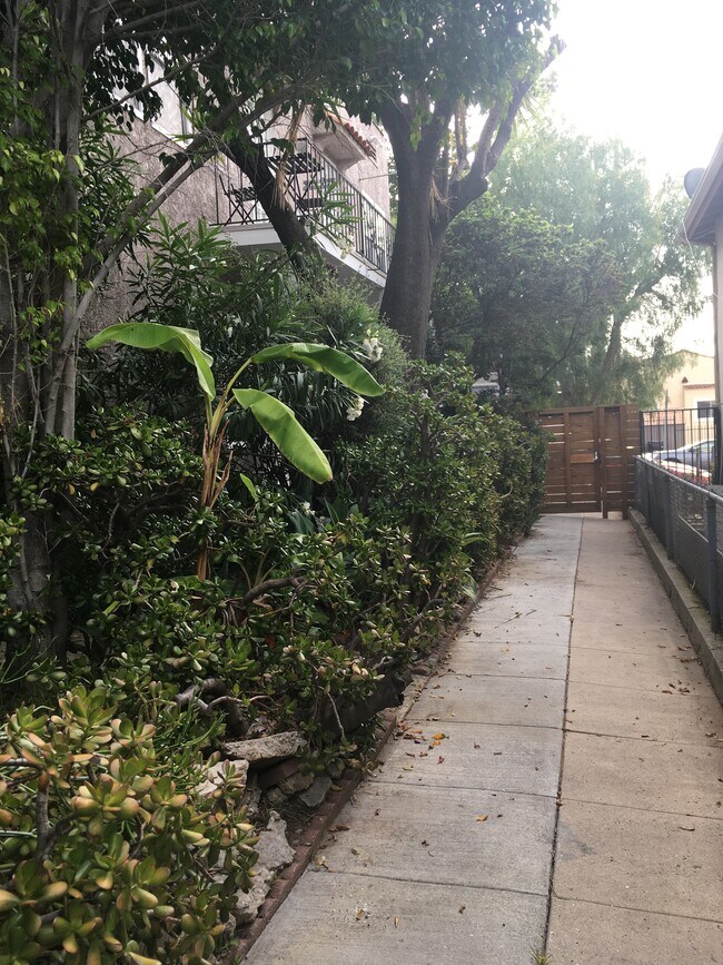 Foto del edificio - 2033 N Vista del Mar Ave