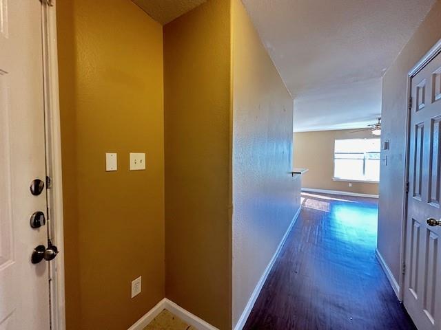 Foto del edificio - 2877 Southampton Way