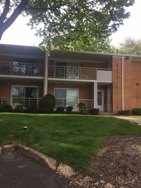 Building Photo - CONDO - CEDAR BROOK