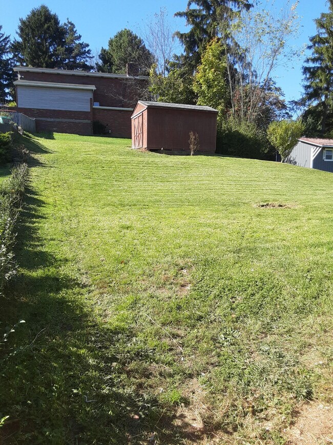 Backyard with shed - 113 Circle Dr