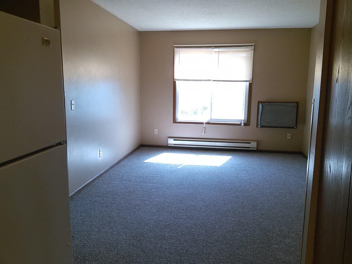 Living Room - 711 1st St NE