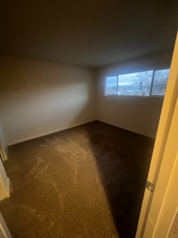 Building Photo - 1020 Dolores St