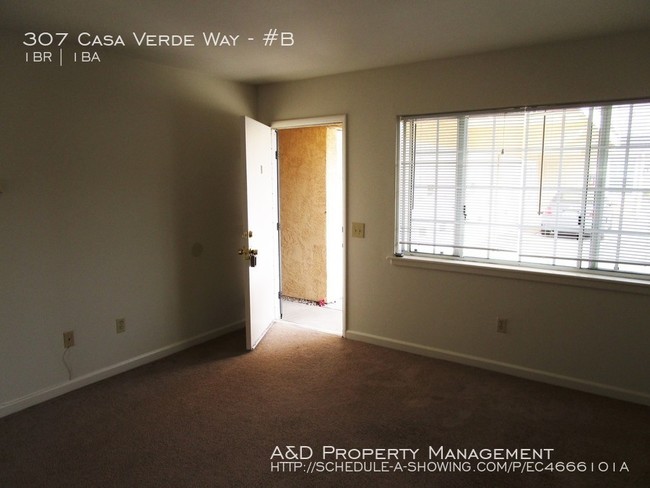 Building Photo - 307 Casa Verde Way