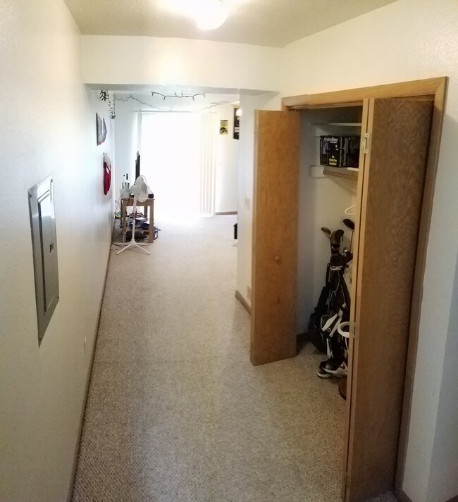 Armario y sala de estar en la planta baja - 803 S Van Buren St